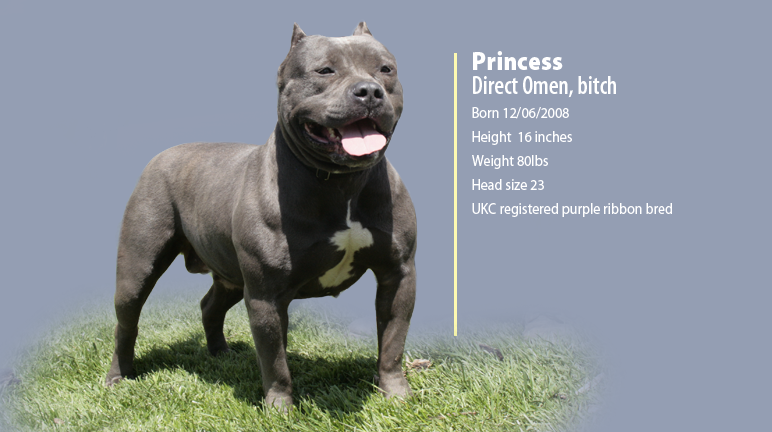 Princess